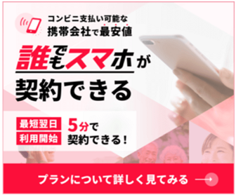 誰でもスマホの紹介１画像
